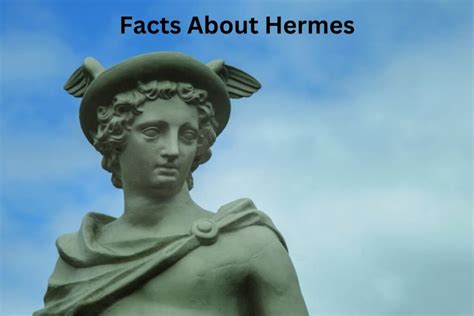 The history of Hermes